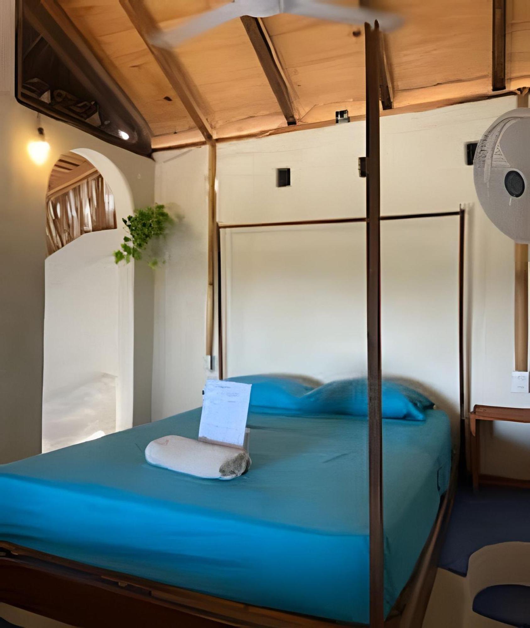 Mixtli Ecohouse, Habitaciones Sol & Luna - Starlink Internet Сан-Педро-Почутла Экстерьер фото