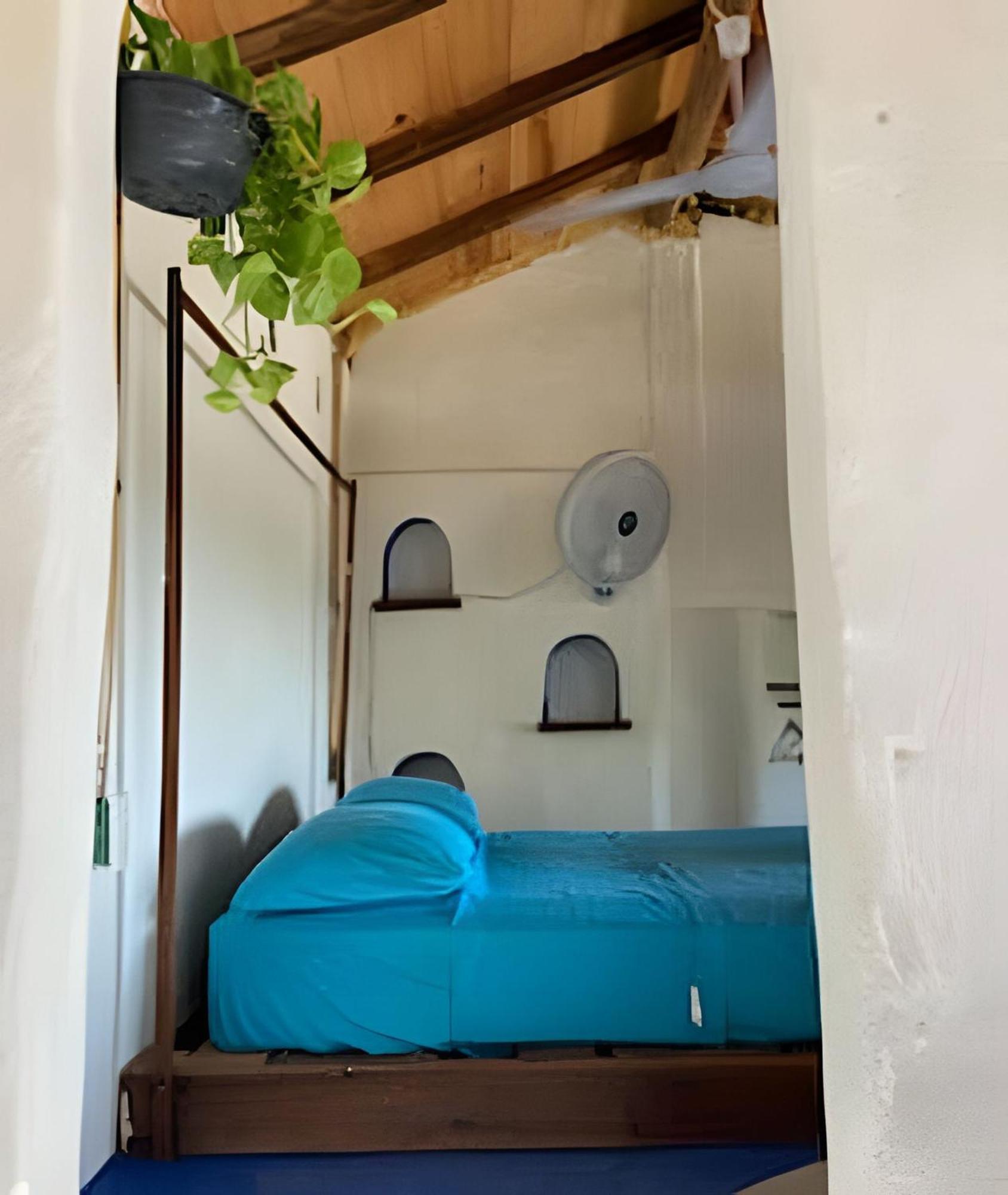 Mixtli Ecohouse, Habitaciones Sol & Luna - Starlink Internet Сан-Педро-Почутла Экстерьер фото